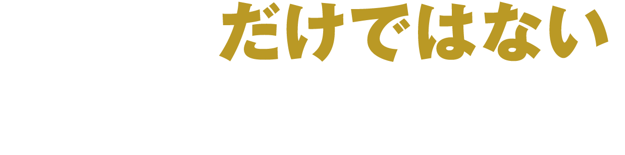 飛距離だけではない、ルーツラプターアイアンの特長